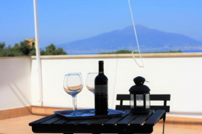 Casa Bice Amazing view of Vesuvius